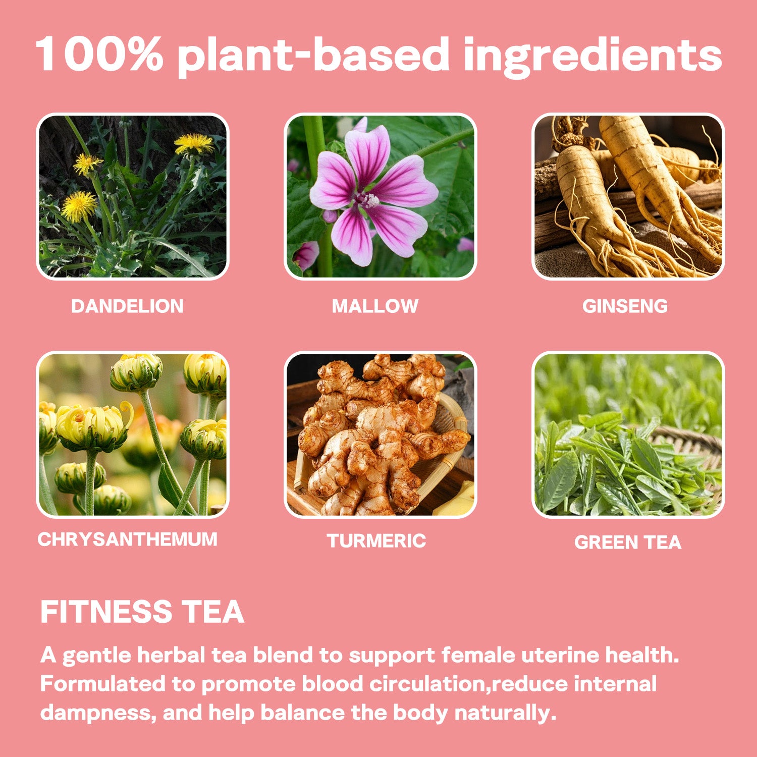 Wholesale Uterine Care Herbal Tea Herbal Supplement OEM ODM Women's Herbal Wellness Tea Daily Nourishment Balance Support GMP COA HALAL