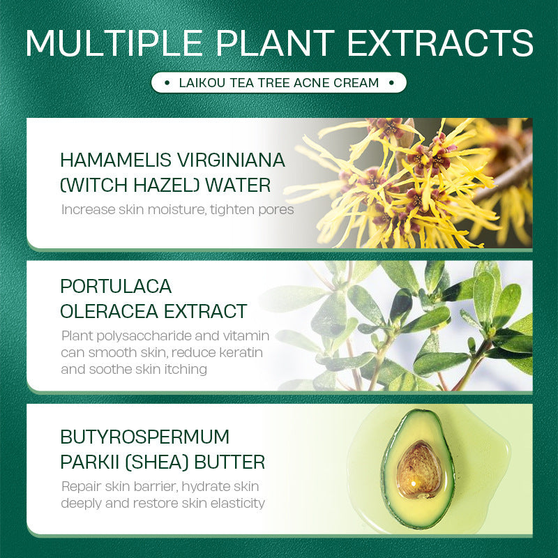 Tea Tree Anti Acne Face Cream