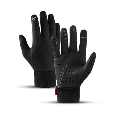 Ski Gloves