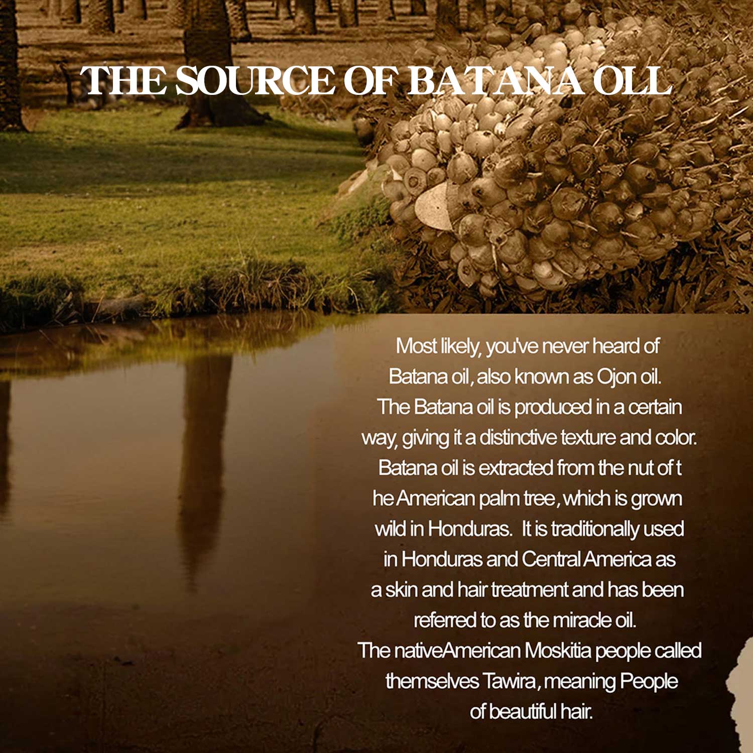 Batana Hair Care Oil