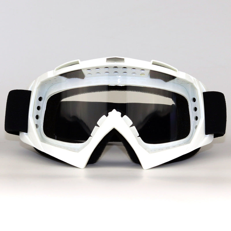 Ski Goggles