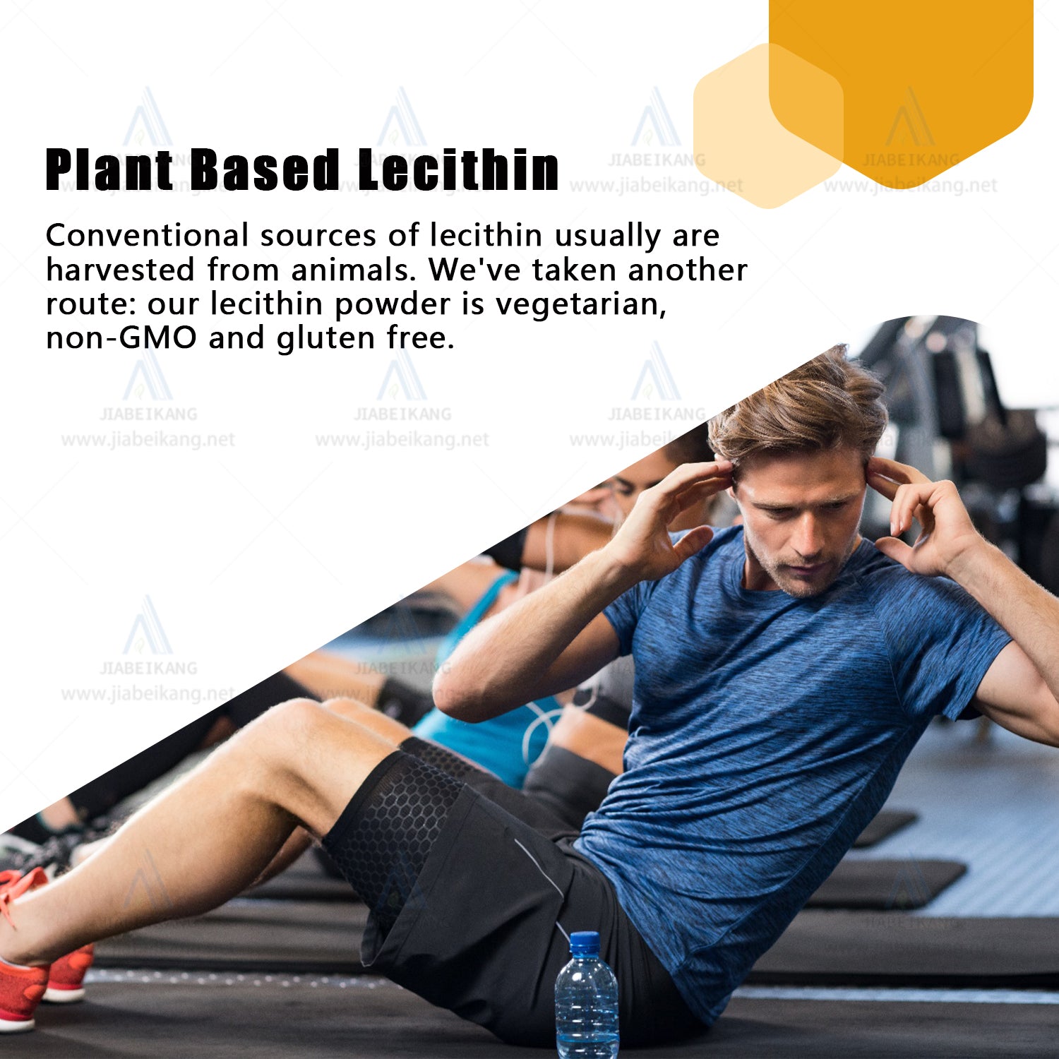 Private Label Halal Vegan Softgel Capsules Soy Lecithin Herbal Multivitamin For Nervous System, Brain And Mood Support OEM ODM Custom Supplement Manufacturer Wholesale