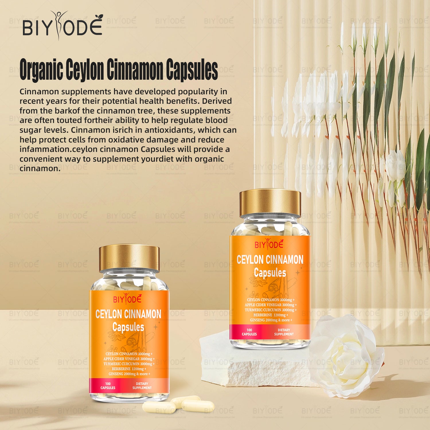 Jiabeikang Factory Ceylon Cinnamon Capsules OEM ODM Custom Herbal Extract Supplements Wholesale Ready Stock