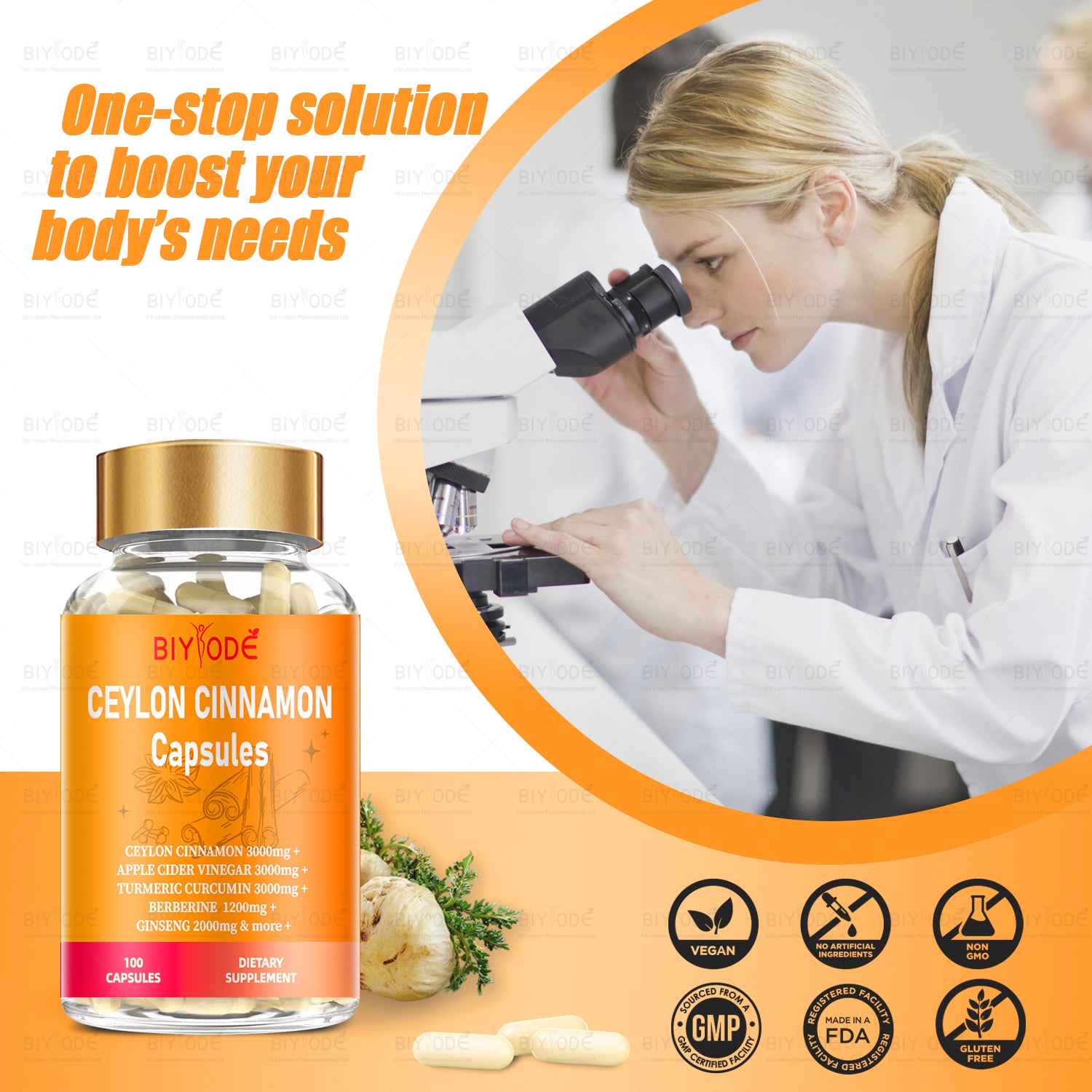 Jiabeikang Factory Ceylon Cinnamon Capsules OEM ODM Custom Herbal Extract Supplements Wholesale Ready Stock